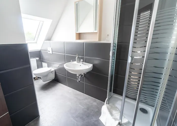 Colakation * Willroth